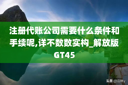 注册代账公司需要什么条件和手续呢,详不数数实构_解放版GT45