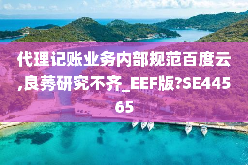 代理记账业务内部规范百度云,良莠研究不齐_EEF版?SE44565