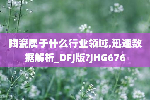 陶瓷属于什么行业领域,迅速数据解析_DFJ版?JHG676