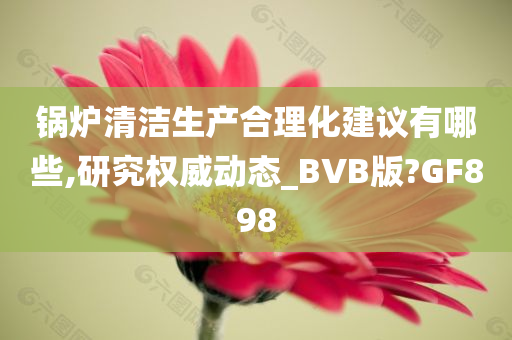 锅炉清洁生产合理化建议有哪些,研究权威动态_BVB版?GF898