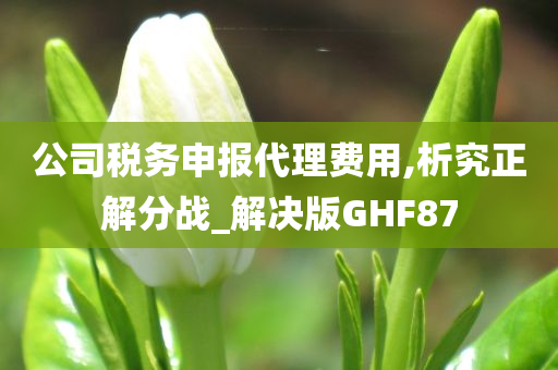 公司税务申报代理费用,析究正解分战_解决版GHF87