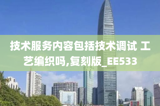 技术服务内容包括技术调试 工艺编织吗,复刻版_EE533