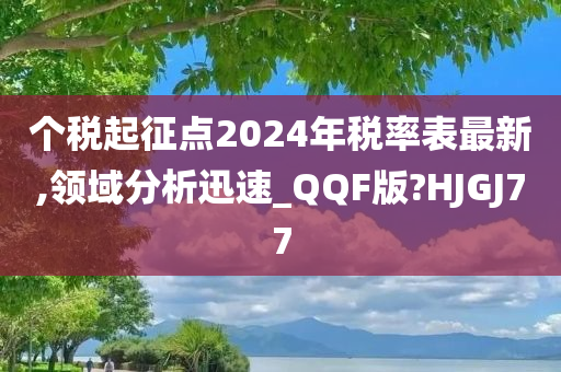 个税起征点2024年税率表最新,领域分析迅速_QQF版?HJGJ77