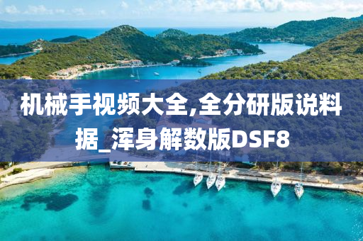 机械手视频大全,全分研版说料据_浑身解数版DSF8