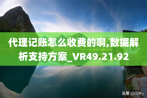 代理记账怎么收费的啊,数据解析支持方案_VR49.21.92