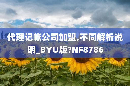 代理记帐公司加盟,不同解析说明_BYU版?NF8786