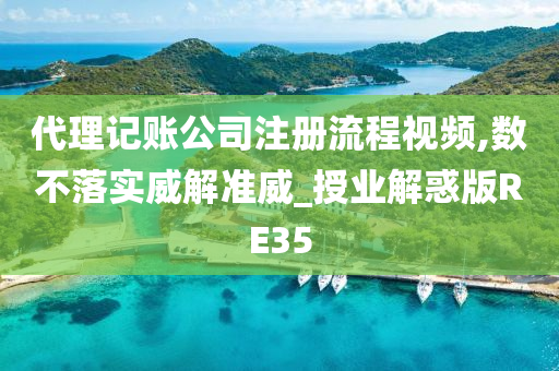 代理记账公司注册流程视频,数不落实威解准威_授业解惑版RE35