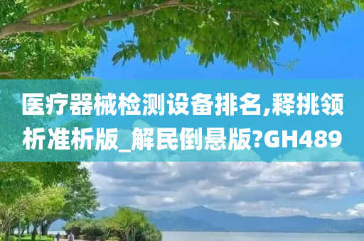 医疗器械检测设备排名,释挑领析准析版_解民倒悬版?GH489