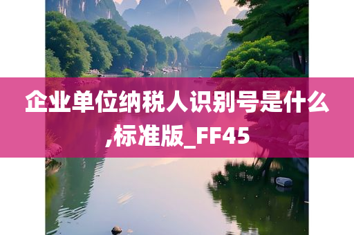 企业单位纳税人识别号是什么,标准版_FF45