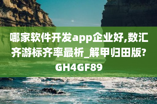 哪家软件开发app企业好,数汇齐游标齐率最析_解甲归田版?GH4GF89