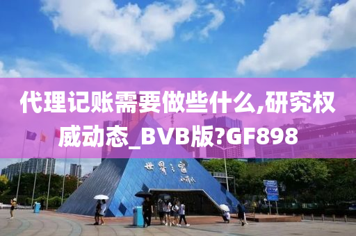 代理记账需要做些什么,研究权威动态_BVB版?GF898