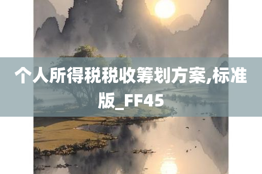 个人所得税税收筹划方案,标准版_FF45