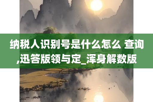 纳税人识别号是什么怎么 查询,迅答版领与定_浑身解数版