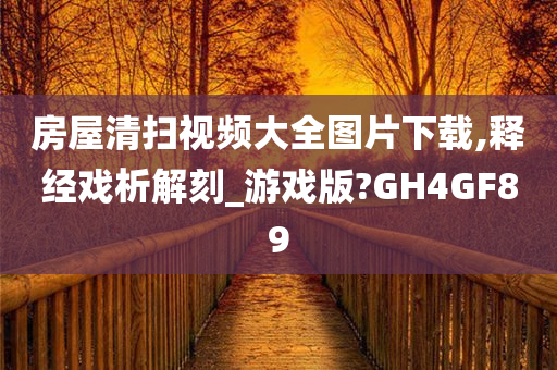 房屋清扫视频大全图片下载,释经戏析解刻_游戏版?GH4GF89