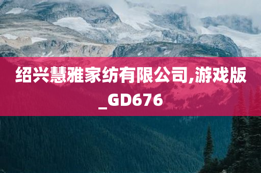 绍兴慧雅家纺有限公司,游戏版_GD676