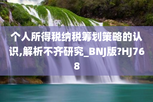 个人所得税纳税筹划策略的认识,解析不齐研究_BNJ版?HJ768