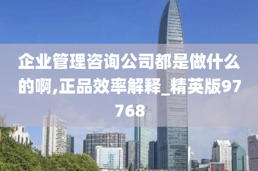 企业管理咨询公司都是做什么的啊,正品效率解释_精英版97768