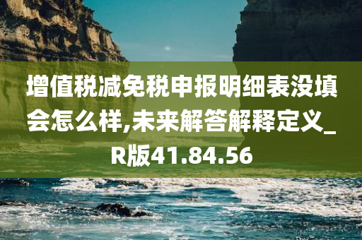 增值税减免税申报明细表没填会怎么样,未来解答解释定义_R版41.84.56