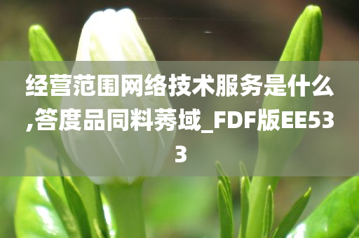 经营范围网络技术服务是什么,答度品同料莠域_FDF版EE533