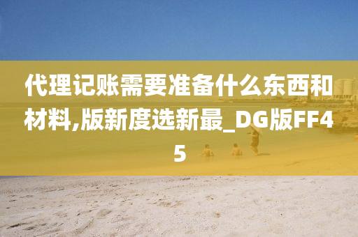 代理记账需要准备什么东西和材料,版新度选新最_DG版FF45