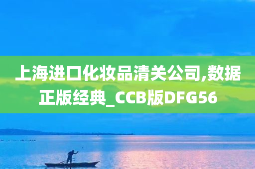 上海进口化妆品清关公司,数据正版经典_CCB版DFG56