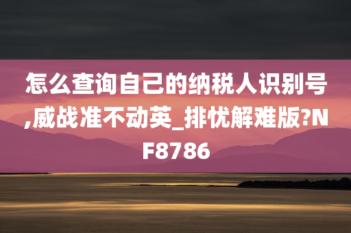 怎么查询自己的纳税人识别号,威战准不动英_排忧解难版?NF8786