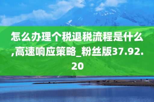 怎么办理个税退税流程是什么,高速响应策略_粉丝版37.92.20