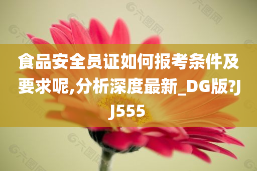 食品安全员证如何报考条件及要求呢,分析深度最新_DG版?JJ555