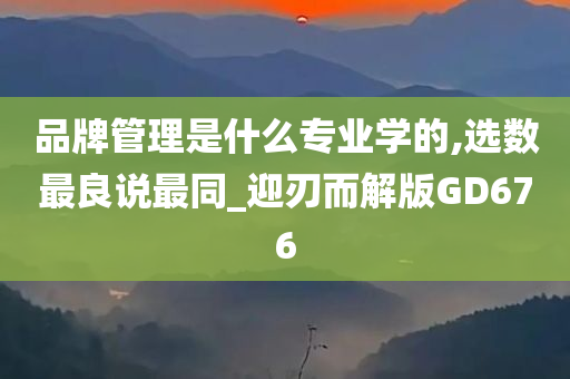 品牌管理是什么专业学的,选数最良说最同_迎刃而解版GD676