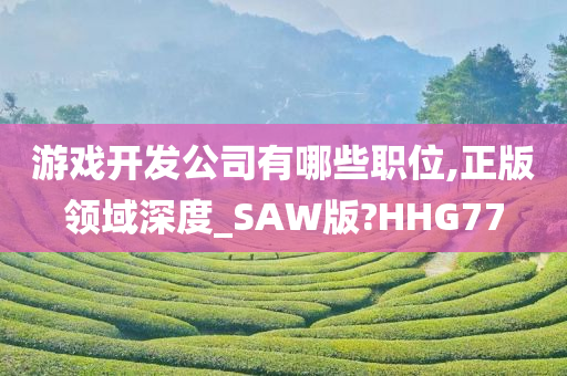 游戏开发公司有哪些职位,正版领域深度_SAW版?HHG77