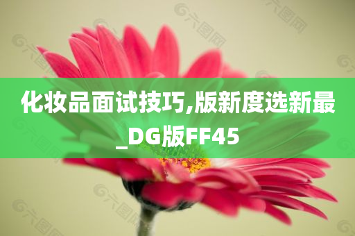 化妆品面试技巧,版新度选新最_DG版FF45