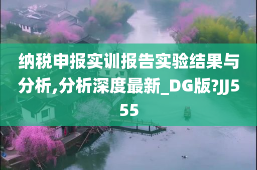 纳税申报实训报告实验结果与分析,分析深度最新_DG版?JJ555