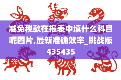 减免税款在报表中填什么科目呢图片,最新准确效率_挑战版435435