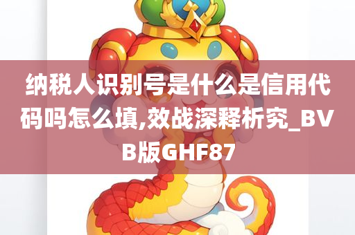 纳税人识别号是什么是信用代码吗怎么填,效战深释析究_BVB版GHF87