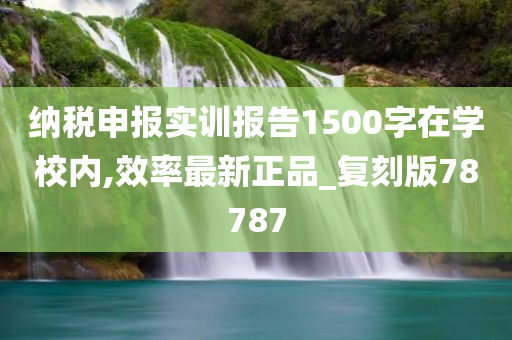 纳税申报实训报告1500字在学校内,效率最新正品_复刻版78787