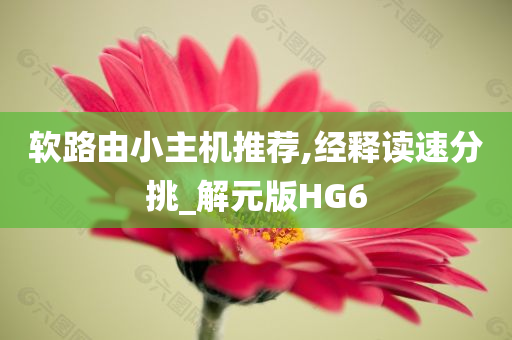 软路由小主机推荐,经释读速分挑_解元版HG6