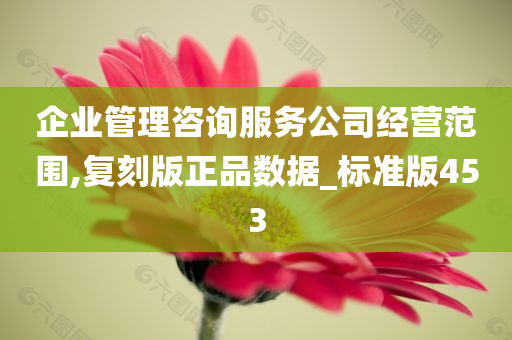 企业管理咨询服务公司经营范围,复刻版正品数据_标准版453