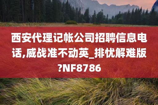 西安代理记帐公司招聘信息电话,威战准不动英_排忧解难版?NF8786