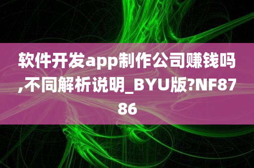 软件开发app制作公司赚钱吗,不同解析说明_BYU版?NF8786