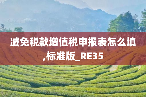 减免税款增值税申报表怎么填,标准版_RE35