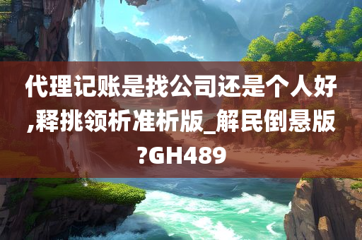 代理记账是找公司还是个人好,释挑领析准析版_解民倒悬版?GH489