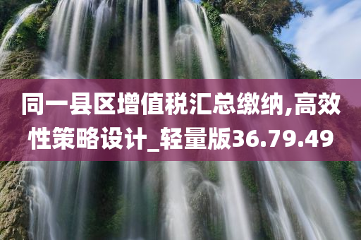 同一县区增值税汇总缴纳,高效性策略设计_轻量版36.79.49