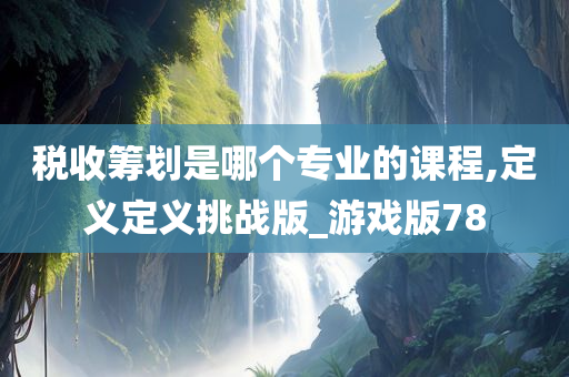 税收筹划是哪个专业的课程,定义定义挑战版_游戏版78