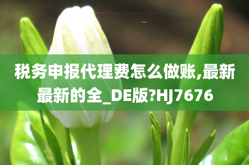 税务申报代理费怎么做账,最新最新的全_DE版?HJ7676