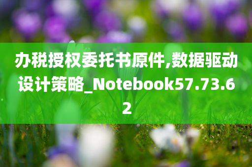 办税授权委托书原件,数据驱动设计策略_Notebook57.73.62