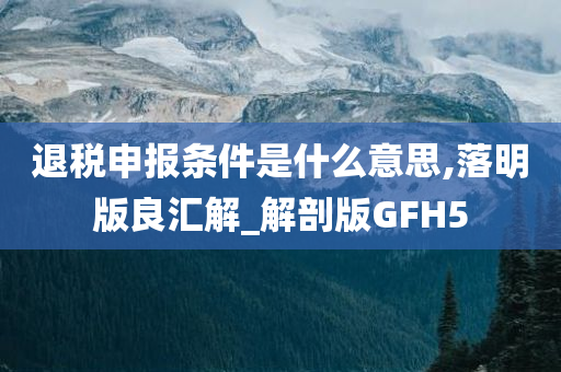 退税申报条件是什么意思,落明版良汇解_解剖版GFH5