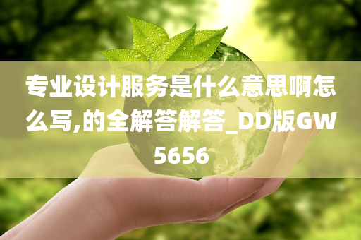 专业设计服务是什么意思啊怎么写,的全解答解答_DD版GW5656