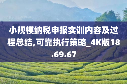 小规模纳税申报实训内容及过程总结,可靠执行策略_4K版18.69.67