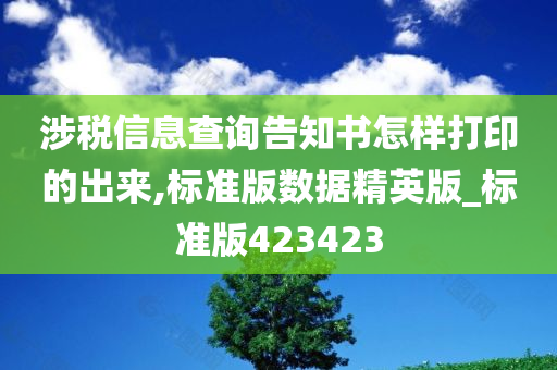 涉税信息查询告知书怎样打印的出来,标准版数据精英版_标准版423423