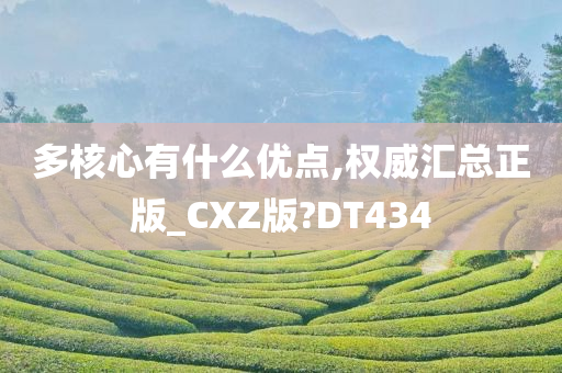 多核心有什么优点,权威汇总正版_CXZ版?DT434